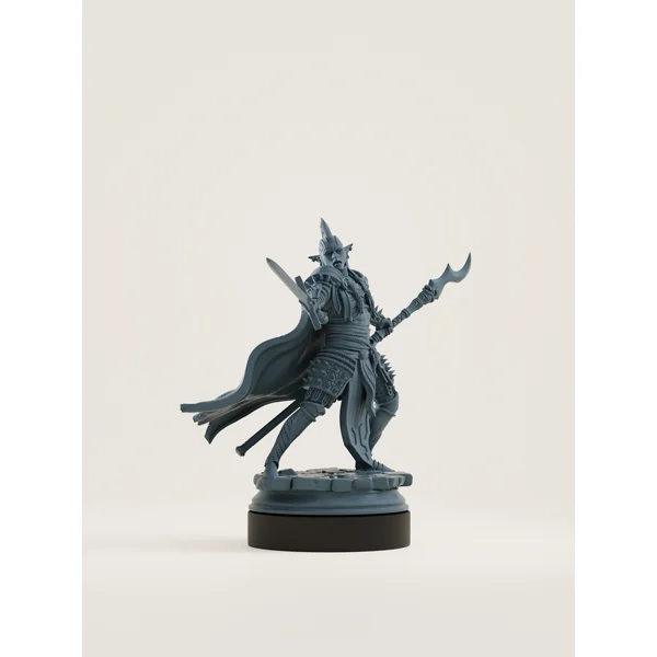 Elfe drow champion