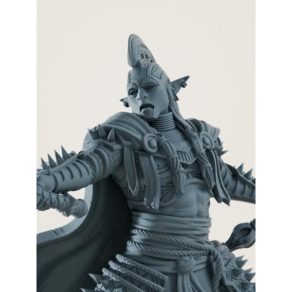 Elfe drow champion
