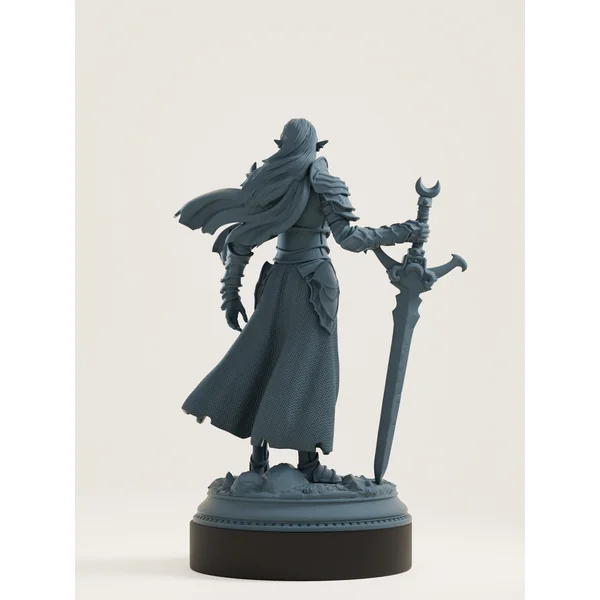 Elfe drow - paladine du sanctuaire lunaire