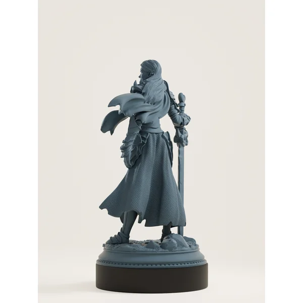 Elfe drow - paladine du sanctuaire lunaire