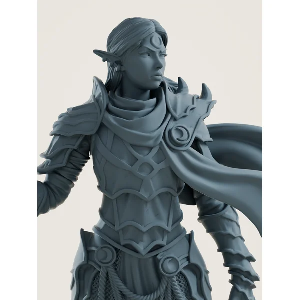 Elfe drow - paladine du sanctuaire lunaire