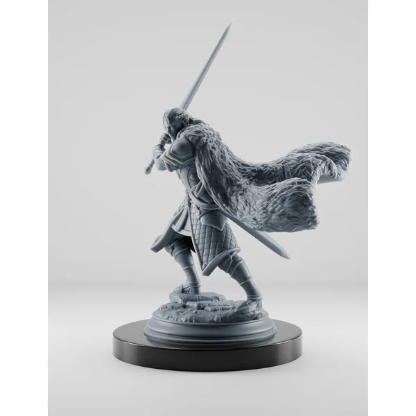Elfe Guerrier avec Épée Longue
