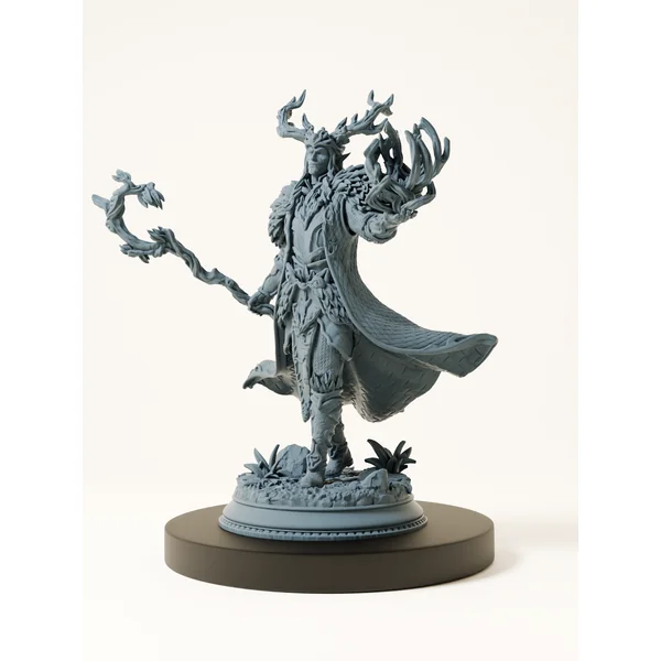 Elfe Magicien de la Cour Fey