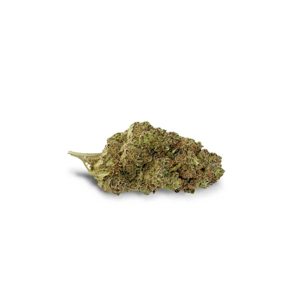 Fleurs CBD RAGNAR