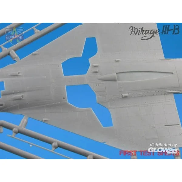 Formateur opérationnel Mirage IIIB (5 camouflages)