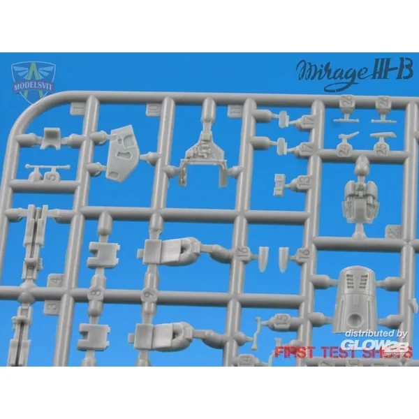 Formateur opérationnel Mirage IIIB (5 camouflages)