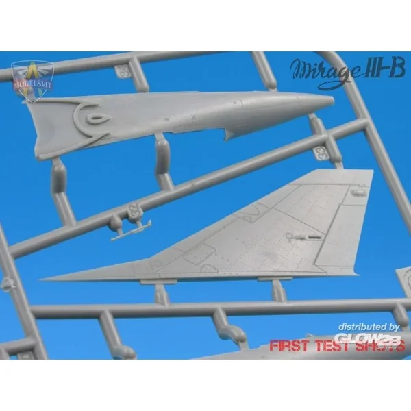 Formateur opérationnel Mirage IIIB (5 camouflages)
