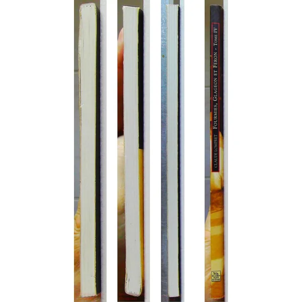 Fourmies - Tome IV