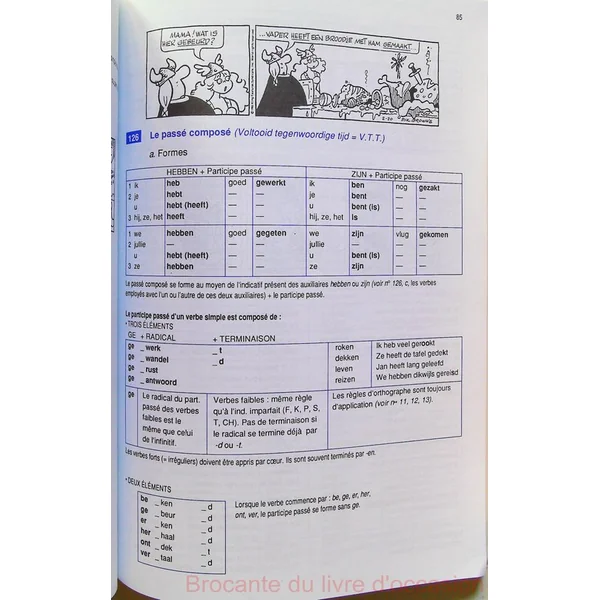 Grammaire Illustree Du Neerlandais