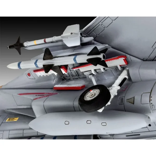 Grumman F-14D Super Tomcat