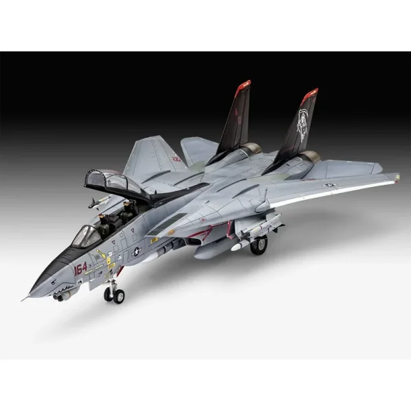 Grumman F-14D Super Tomcat