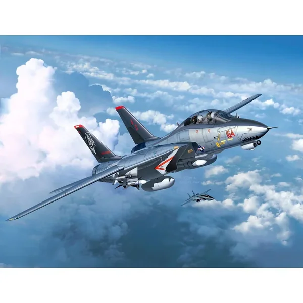 Grumman F-14D Super Tomcat