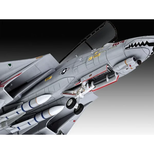 Grumman F-14D Super Tomcat