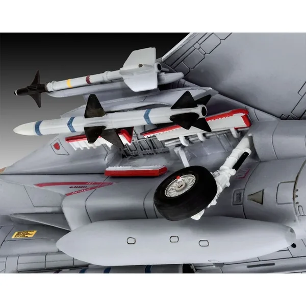 Grumman F-14D Super Tomcat