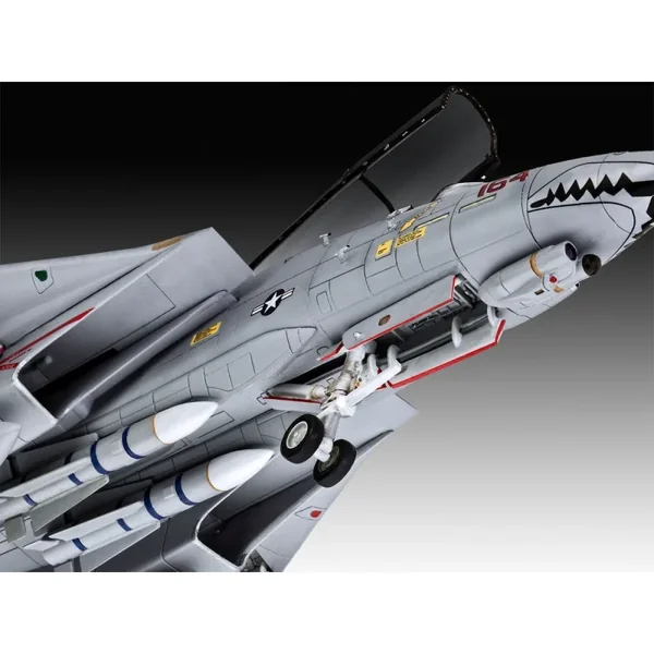 Grumman F-14D Super Tomcat