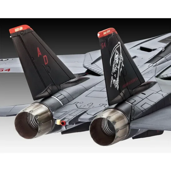 Grumman F-14D Super Tomcat