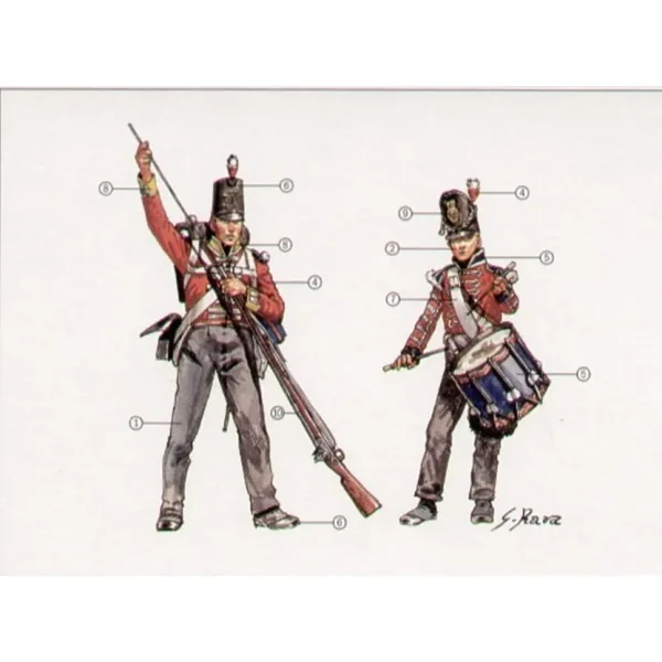 Guerres napoléoniennes : Infanterie britannique 1815