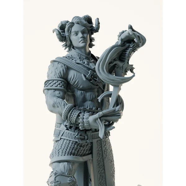 Guerrier humain demi démon