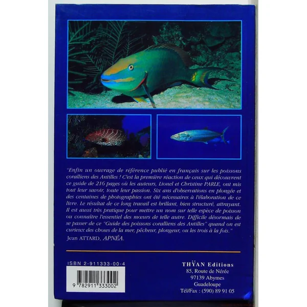 Guide des Poissons Coralliens des Antilles