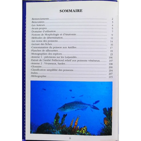 Guide des Poissons Coralliens des Antilles