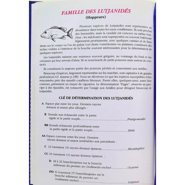Guide des Poissons Coralliens des Antilles