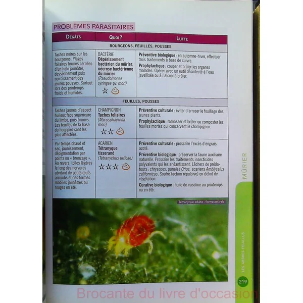 Guide écologique des arbres