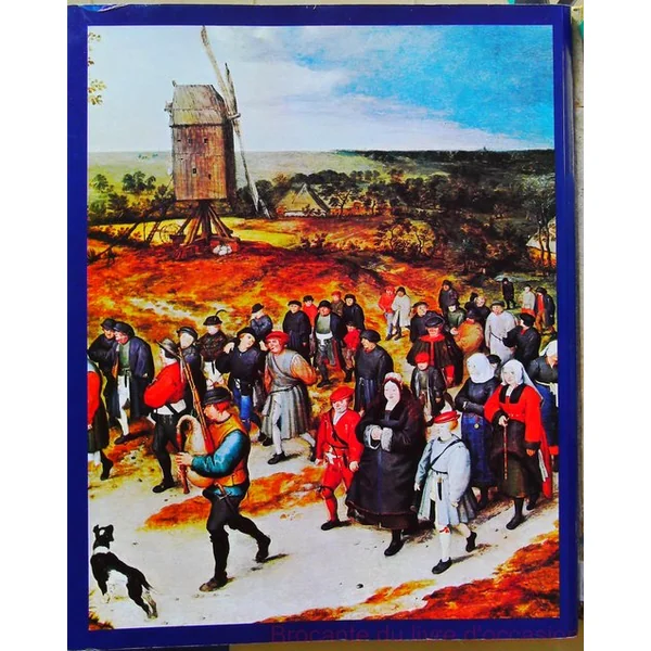 Histoire illustrée de la Belgique