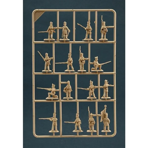 Infanterie française guerres Napoléoniennes