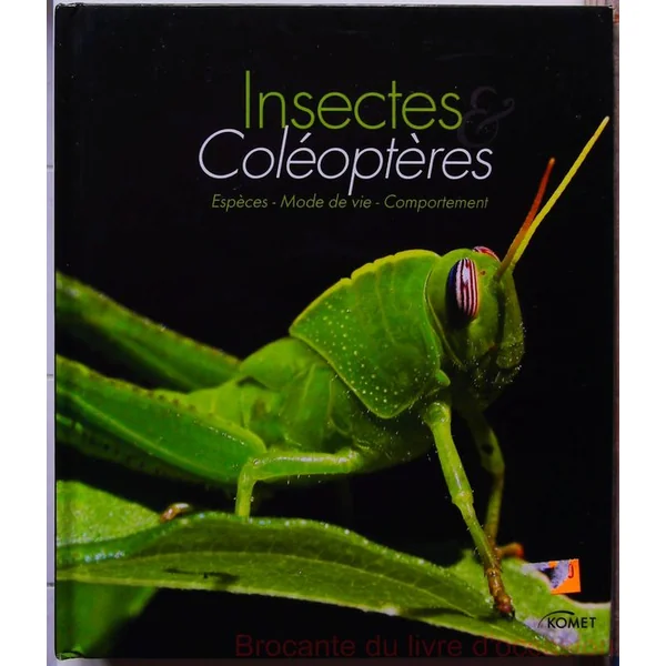 Insectes et coléoptères