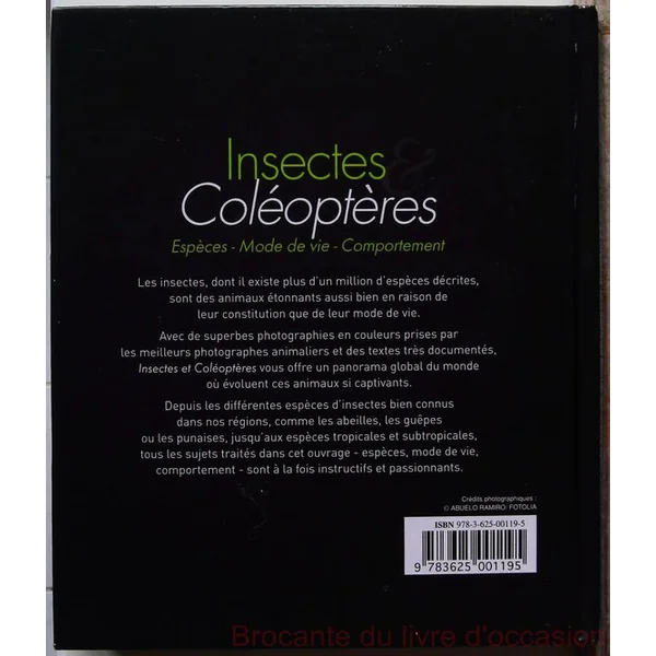Insectes et coléoptères