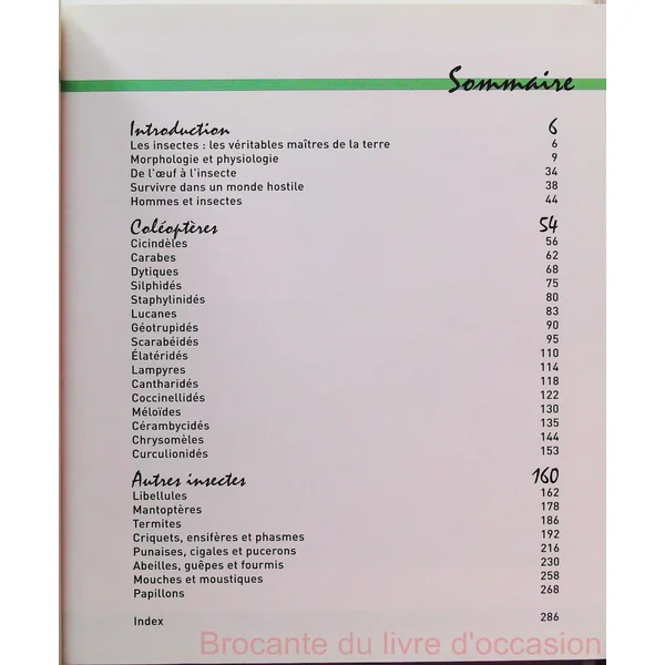 Insectes et coléoptères