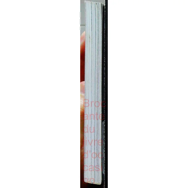 Integrale Compagnie Des Glaces