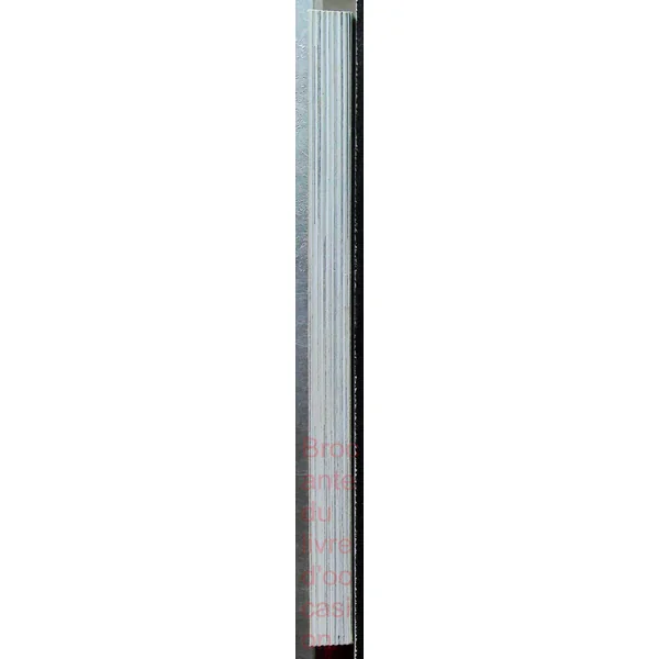 Integrale Compagnie Des Glaces