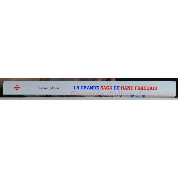 La grande saga du hand français