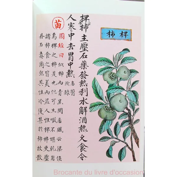La médecine chinoise par les plantes