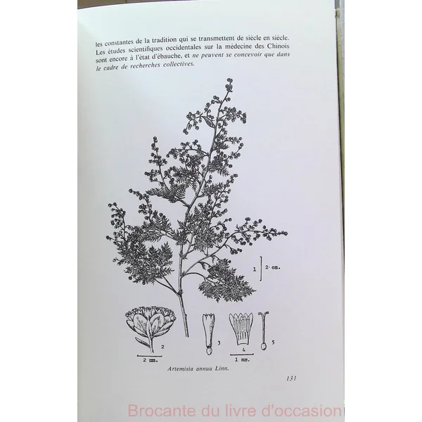La médecine chinoise par les plantes