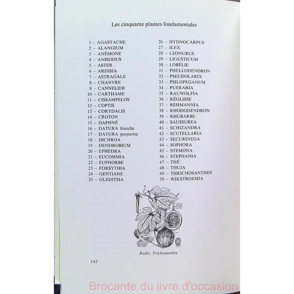 La médecine chinoise par les plantes