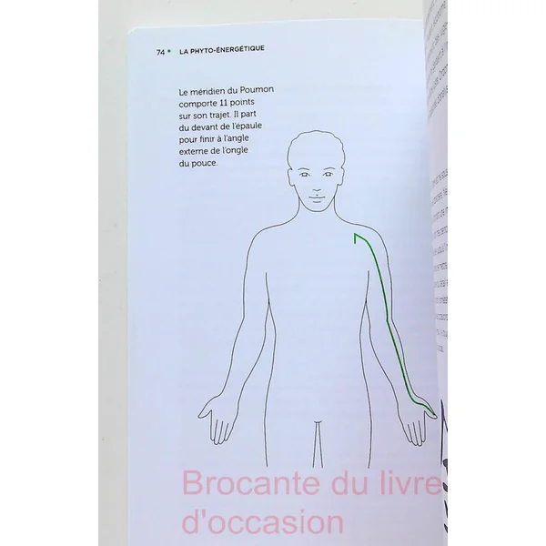 La phyto-énergétique