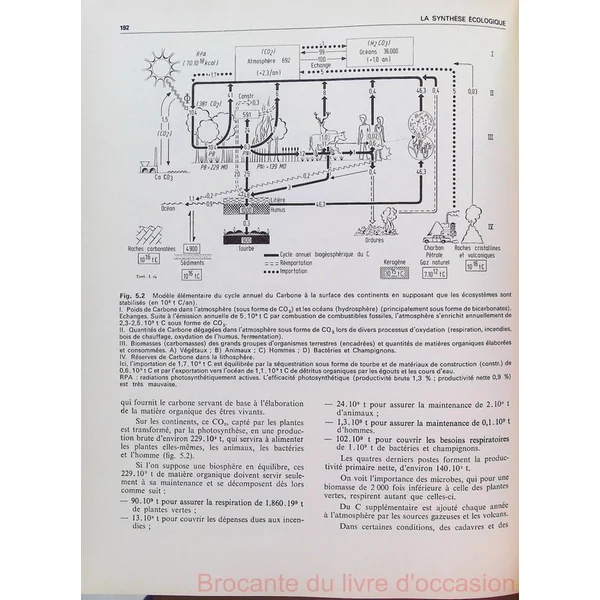 La synthese ecologique