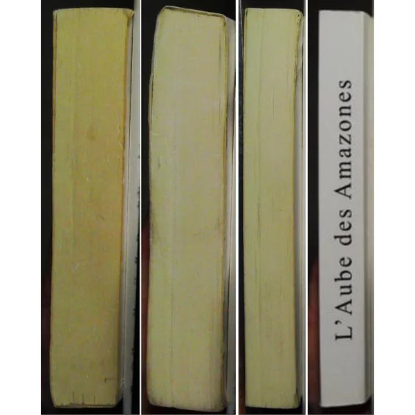 L'aube des amazones