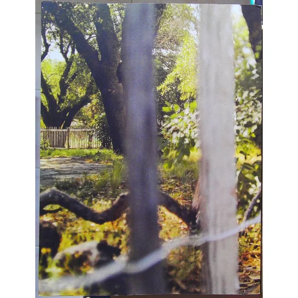 L'automne du paradis - Jean-Luc Mylayne