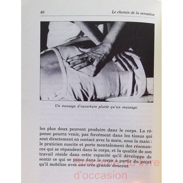 Le chemin de la sensation