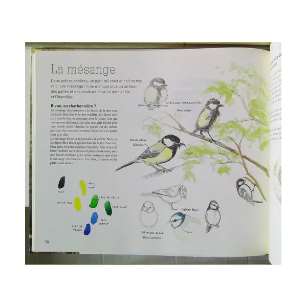 Le dessin naturaliste (2)