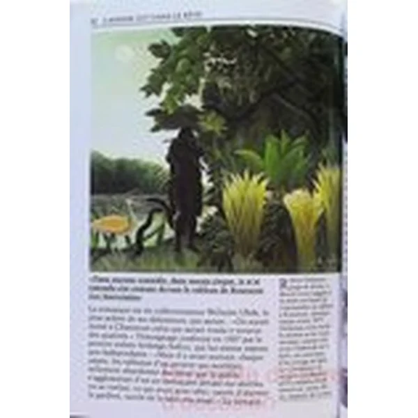 Le Douanier Rousseau- Un na"if dans la jungle