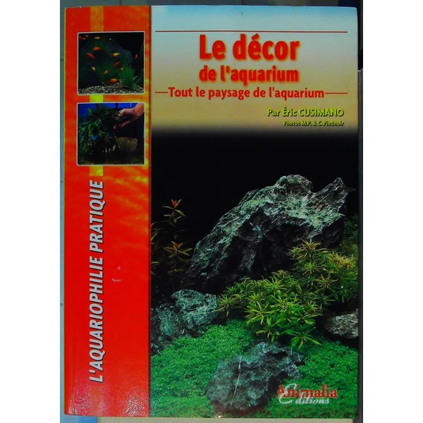 Le décor de l'aquarium