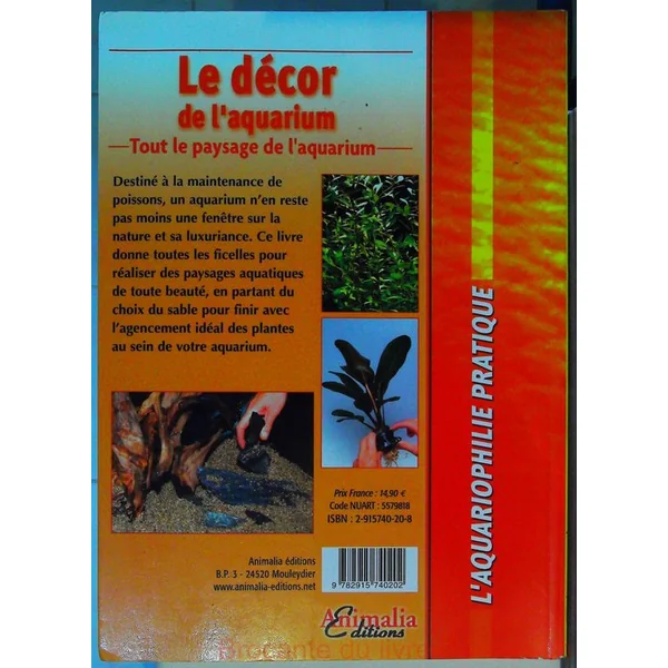 Le décor de l'aquarium