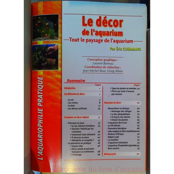 Le décor de l'aquarium