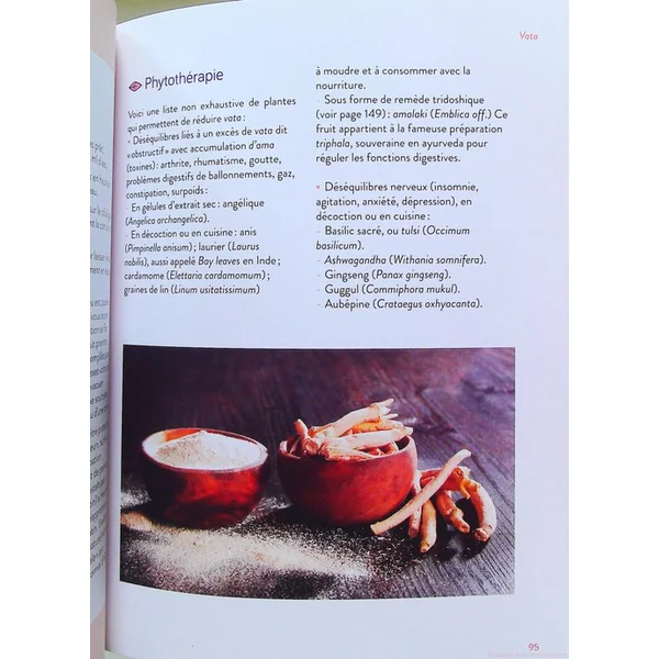 Le guide de l'ayurveda au quotidien