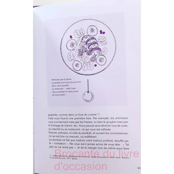 Le Pendule - Secrets Et Pouvoirs De La Radiesthésie-