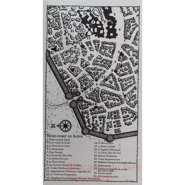 Le Sage De Valombre Tome 1 - Elminster Doit Mourir-
